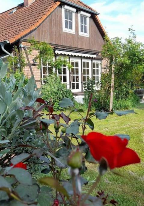 Ferienhaus Gartower See Экстерьер фото