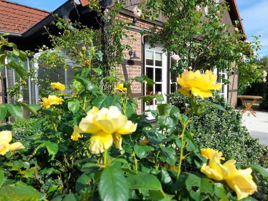Ferienhaus Gartower See Экстерьер фото