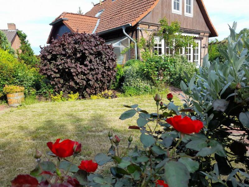Ferienhaus Gartower See Экстерьер фото